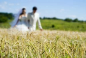 alojamiento rural para bodas en alfafara - novios en el campo
