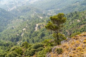 alojamiento rural para retiros en la montaña - naturaleza