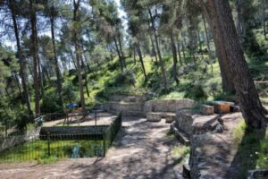 alojamiento rural para retiros en la montaña - bosque